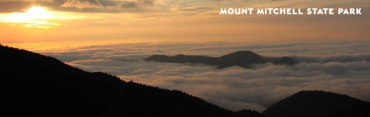 Holiday home Treetops Easy To Asheville With Fast Wifi And Great View *