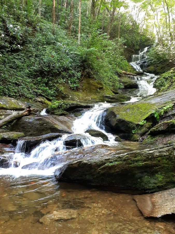 Treetops Easy To Asheville With Fast Wifi And Great View Holiday home *