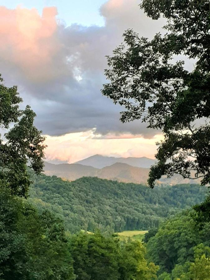 Holiday home Treetops Easy To Asheville With Fast Wifi And Great View *